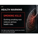 Top Gun Blue 20s Cigarettes X 10 Packs _ 1 Carton