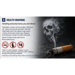 Manchester Sapphire Blue 20s Cigarettes x 10 Packs _1 Carton