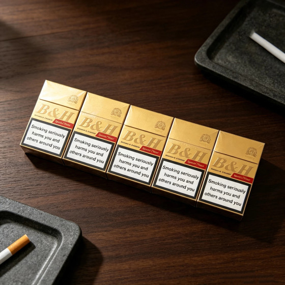 Benson & Hedges Special Filter 20s Cigarettes x 10 Packs _ 1 Carton