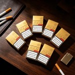 Benson & Hedges Special Filter 20s Cigarettes x 10 Packs _ 1 Carton