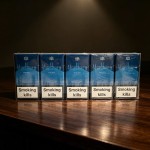 Marlboro Blue 20s Cigarettes x 10 Packs _1 Carton